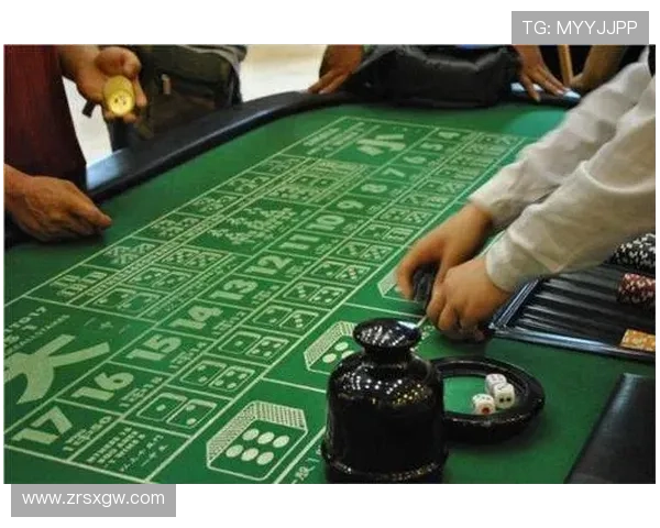 百家乐龙虎斗玩法规则介绍：详细解析游戏流程与投注策略